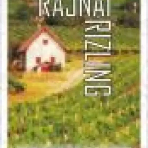 Akció Matrica rajnai rizling50db/csom (15148)